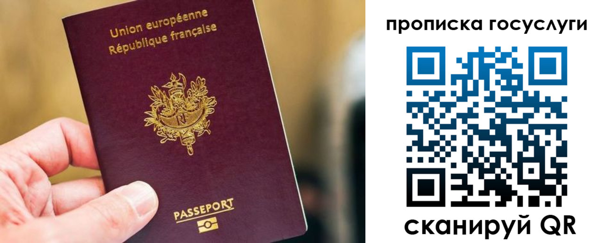 временная регистрация поиск в Грозном